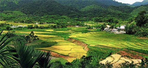 創(chuàng)業(yè)加盟開什么店好點(diǎn)兒